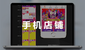 京東手機(jī)店鋪